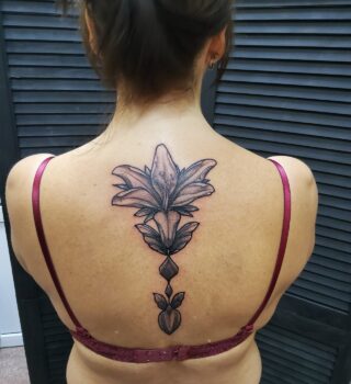 fevGRhAI97sOXuxspMFqVNzSkxjBROqDJzhbQRgFlgpq8UQrdZxBGMizzvGbTuXXNVayH7Qh5GQMJ3bzRD76XZ-x