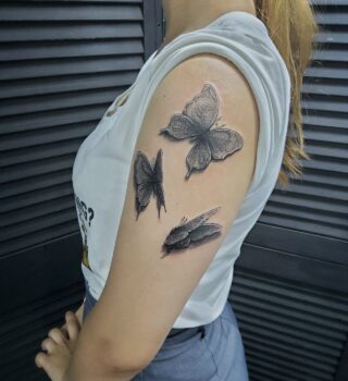 q5XaAy9YKzgNkyk-T3B7CQtGtdcdf8Lzq5gkaLLrNxMjlooSZOO_5PaHqLMbvZHbjjnAvPqkqvrV5-nhLUK_ASDf